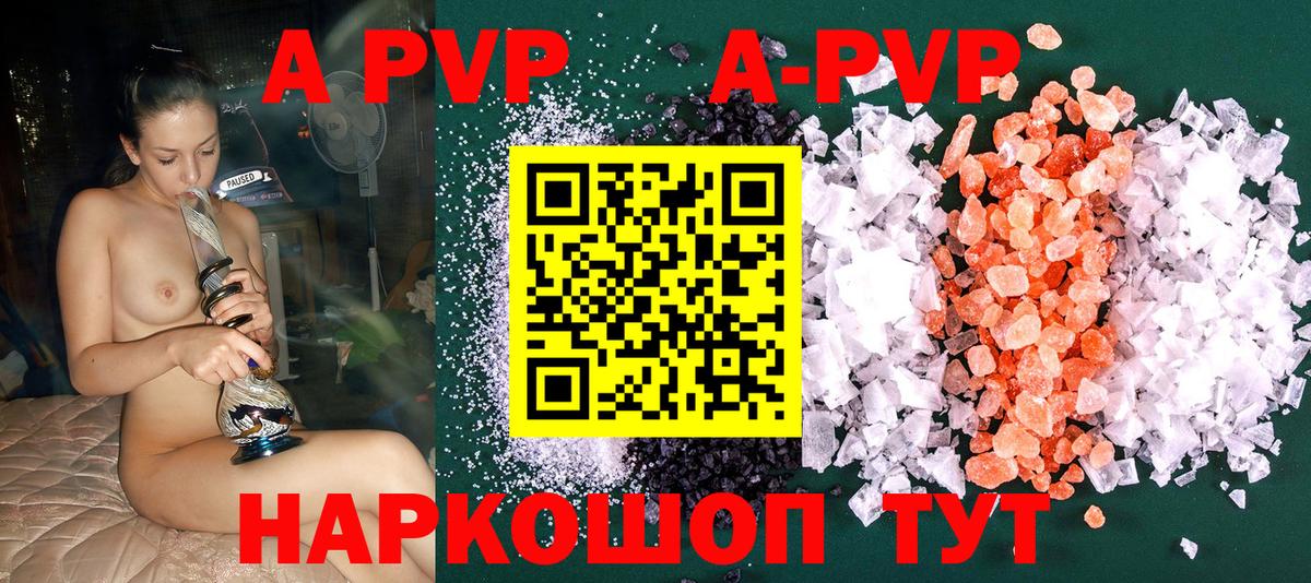 Альфа ПВП СК Казань