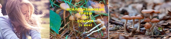 мяу мяу кристалл Касимов