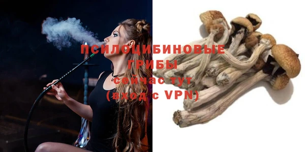 дживик Карталы