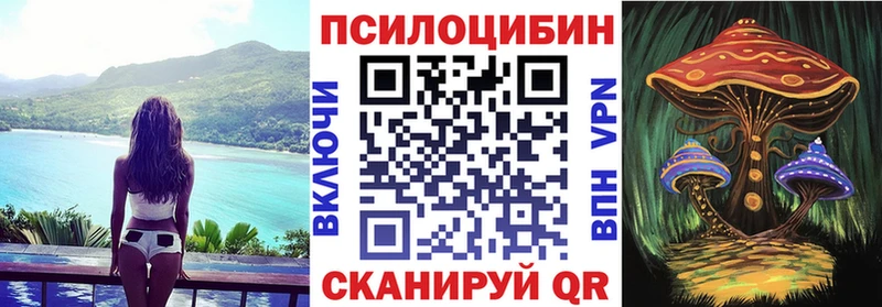 Галлюциногенные грибы MAGIC MUSHROOMS  купить наркоту  Казань 