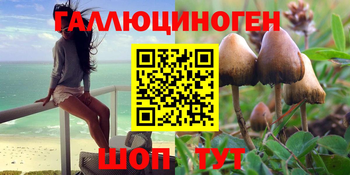 Галлюциногенные грибы мухоморы  Вход с VPN  Галлюциногенные грибы Psilocybe  Казань 