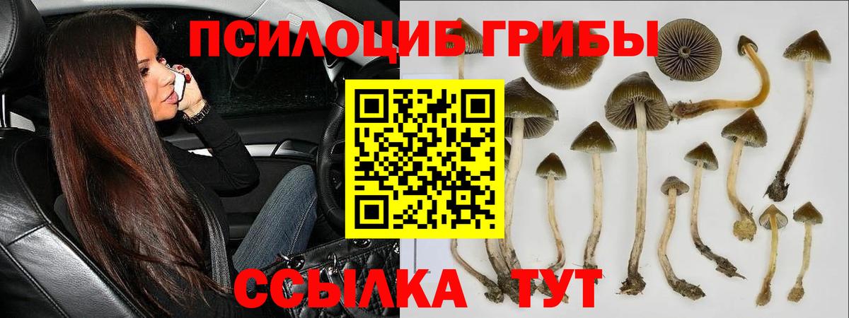 Галлюциногенные грибы мицелий Казань