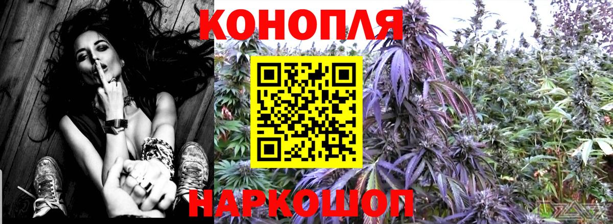 Каннабис ГИДРОПОН Казань